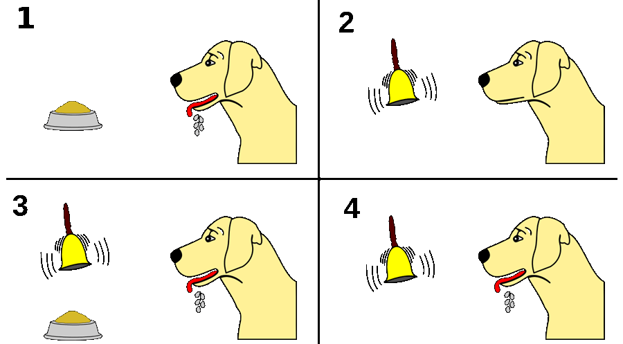 condicionamiento simple - cómo aprenden los perros